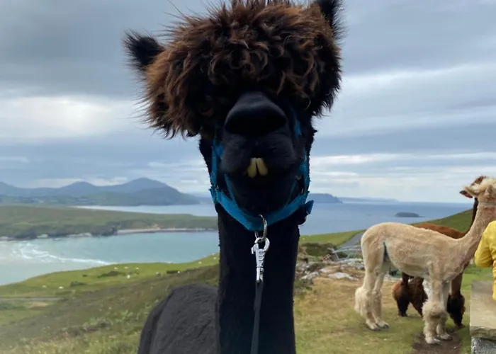 With Stunning Views * Ballyliffin